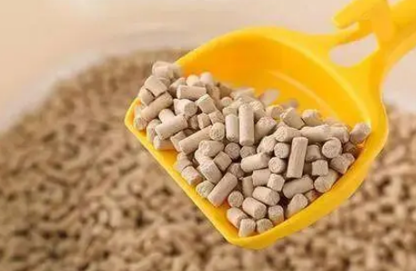 猫砂的选择是个大问题！不同种类的猫砂有什么区别吗