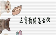 狗狗三角牵引绳怎么戴