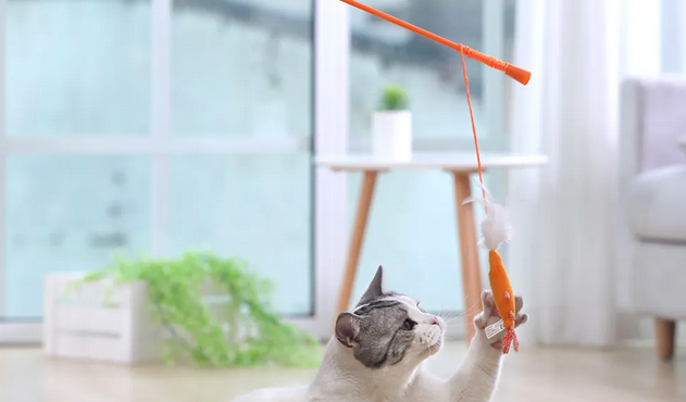 什么玩具适合猫咪玩