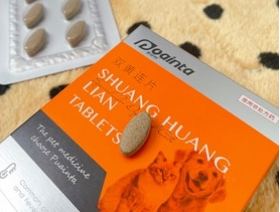 犬感冒了吃什么药