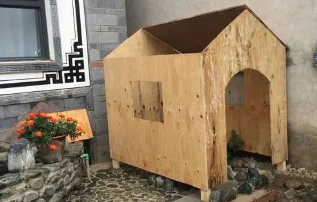 自己在家做狗窝教程简单 自己在家做狗窝教程简单