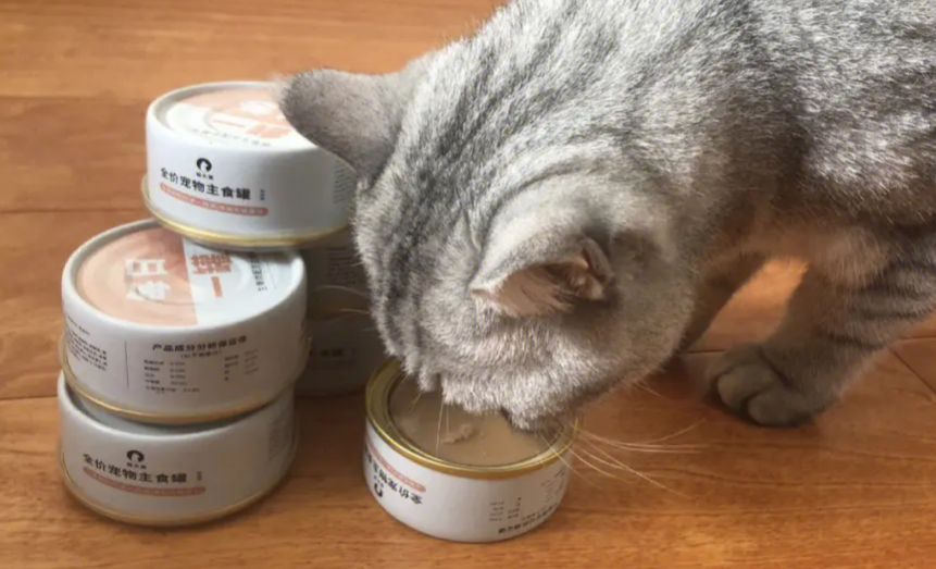 猫爱吃什么罐头