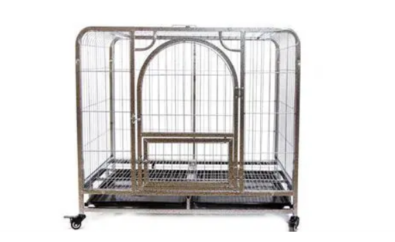 养宠知识:巨贵犬耳螨用什么药,巨贵犬耳螨如何治 养宠知识:巨贵犬耳螨用什么药,巨贵犬耳螨如何治