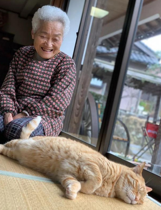 头发花白的奶奶背肥硕橘猫,却露温暖笑容,太治愈啦 头发花白的奶奶背肥硕橘猫,却露温暖笑容,太治愈啦