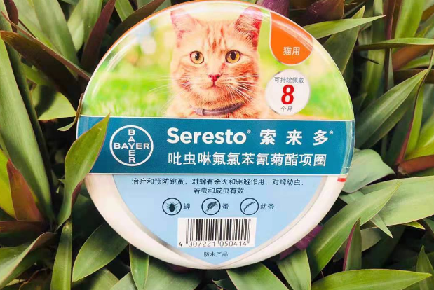 一篇教会你如何给猫体外驱虫