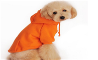 宠物狗小衣服怎么做