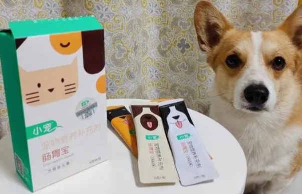 宠物肠胃宝哪里卖