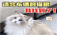 布偶猫粮哪款比较好