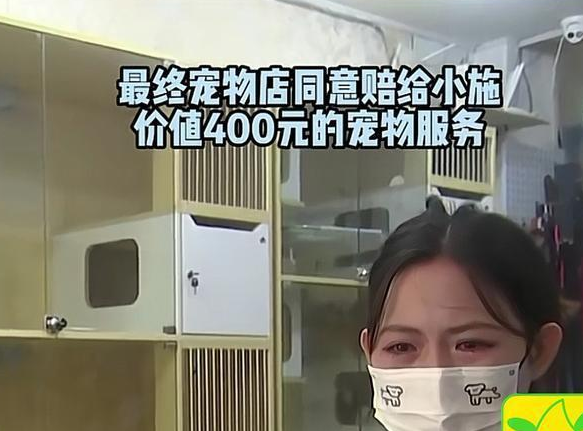 女子买纯种比熊，发现是串串后要补差价，店家不同意