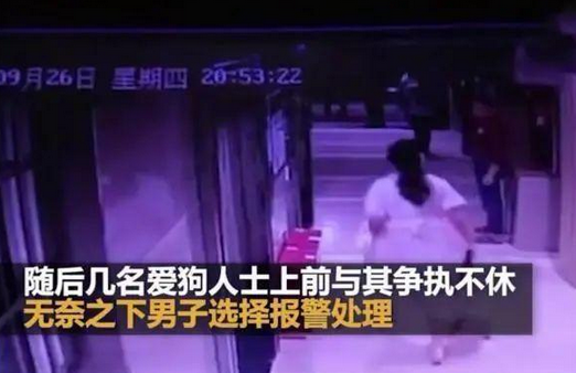 为保护怀孕妻子和4岁孩子，男子用脚驱赶狗遭指责