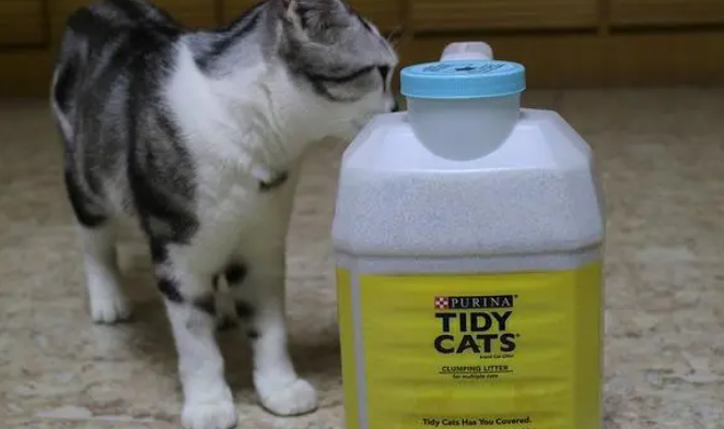 猫砂有哪些品牌
