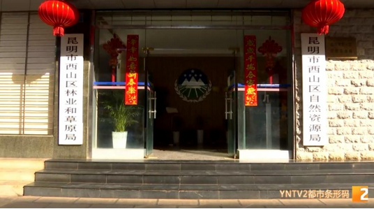父母帮男孩抓海鸥强行塞进塑料罐，处理结果来了