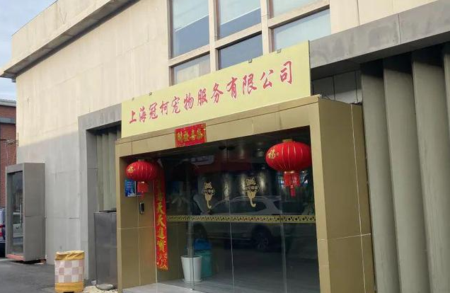 喵星人汪星人，非死即病！沪上1000多人“掉坑”