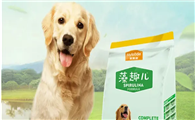 什么狗零食的牌子好