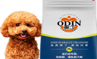 低盐狗粮排行