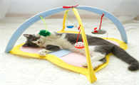 小猫咪喜欢玩什么玩具 小猫咪喜欢玩什么玩具