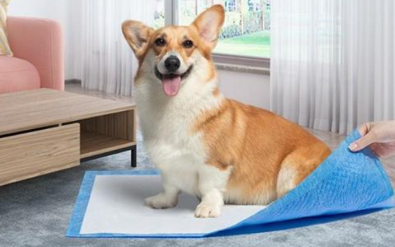 狗狗尿垫怎么用 狗狗尿垫怎么用