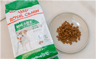 阿拉斯加幼犬狗粮