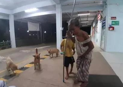 老人在河边摔倒,两只不认识的狗狗贴身守护 老人在河边摔倒,两只不认识的狗狗贴身守护