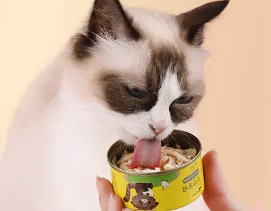 猫罐头哪个牌子好用