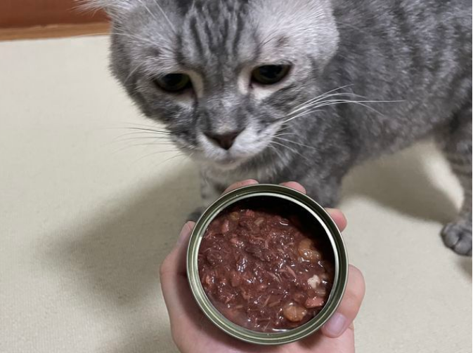 如何制作猫罐头