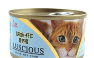 猫猫罐头怎么喂