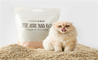 猫砂哪种最好