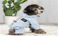 小狗衣服图片大全 小狗衣服图片大全
