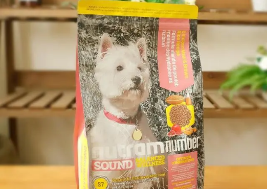 柯基犬狗粮什么牌子好