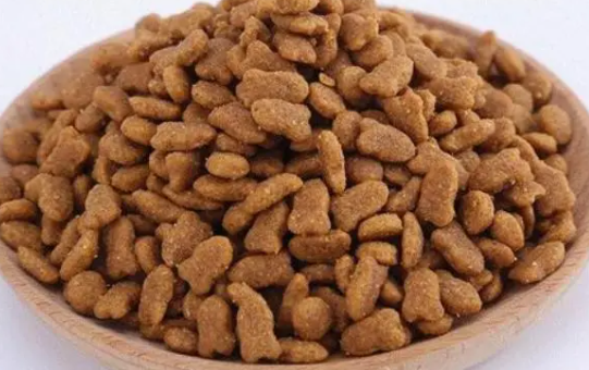 猫粮可以喂鱼吃吗