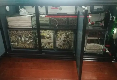 鱼缸水质变差,如果才能改善水质,让它变成空气缸 鱼缸水质变差,如果才能改善水质,让它变成空气缸