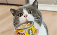 猫可以吃狗罐头吗