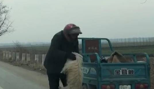 村里大爷骑车上街，狗子一路狂奔跟随，大爷停车后无奈抱起爱狗