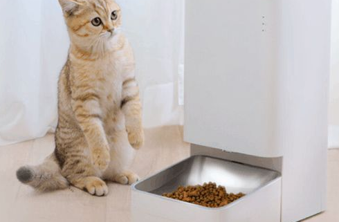宠物喂食器在哪买 宠物喂食器在哪买