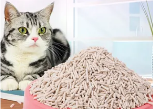 猫砂遇水会怎么样