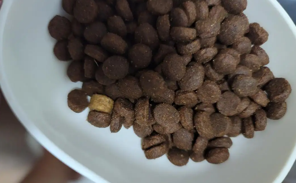 猫粮一袋多少钱