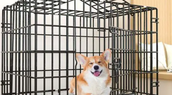 狗笼买什么牌子 狗笼买什么牌子