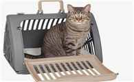 猫咪航空箱多重