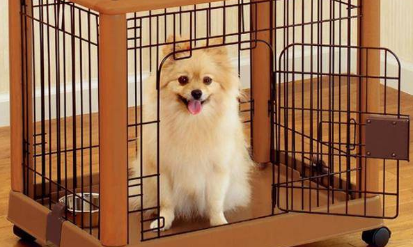 怎么训练狗狗进笼子