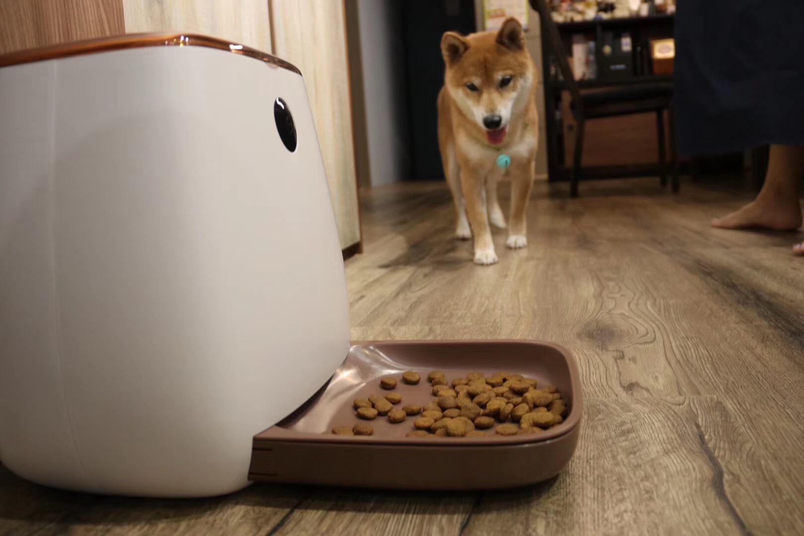 狗狗自动定时喂食器好不好