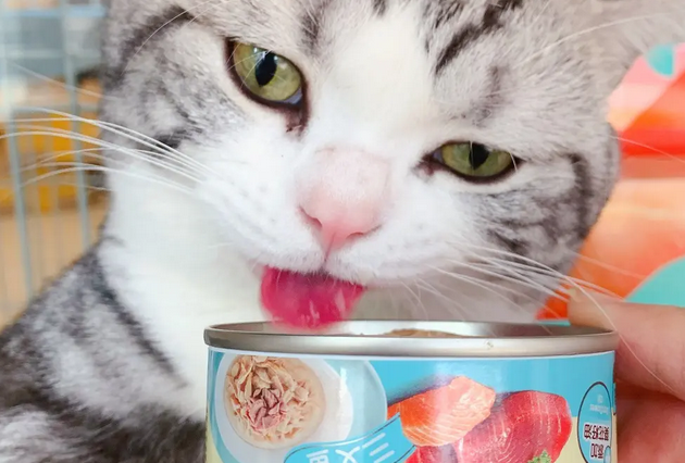 猫罐头的制作方法