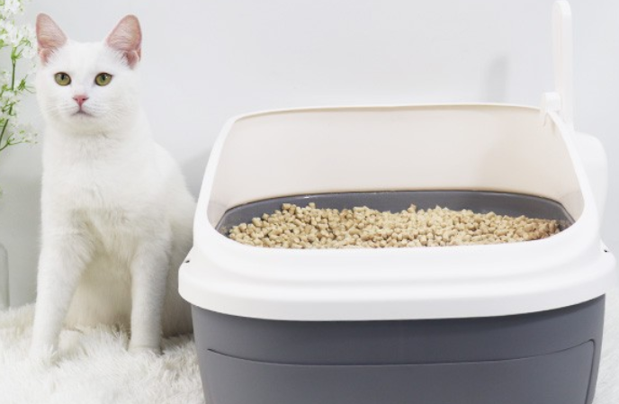 哪个牌子猫砂除臭效果好