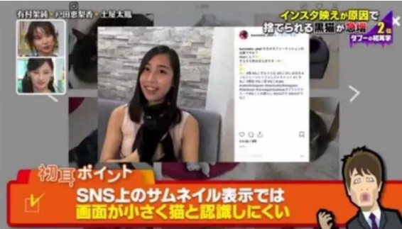 黑猫不吉利?这对夫妇收养后却迎来超级好运 黑猫不吉利?这对夫妇收养后却迎来超级好运