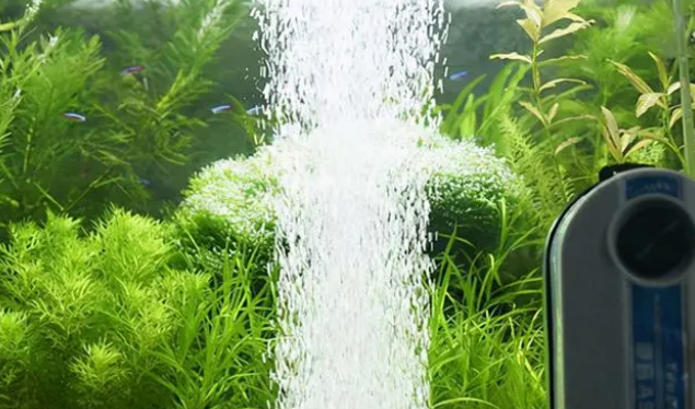 怎么保证鱼缸里的溶氧量?用增氧泵,详解关于增氧泵的那些事 怎么保证鱼缸里的溶氧量?用增氧泵,详解关于增氧泵的那些事