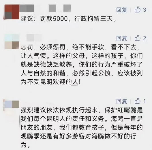 父母帮男孩抓海鸥强行塞进塑料罐，处理结果来了
