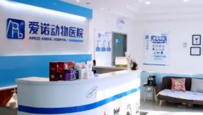 爱诺宠物医院在哪 爱诺宠物医院在哪