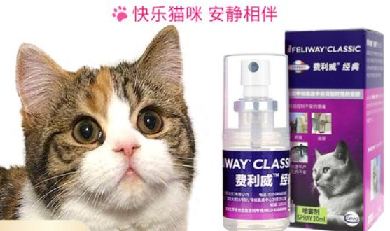 猫咪诱导剂有用吗