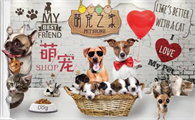 跟猫有关的文艺店名