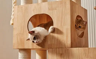 猫爬架怎么清洗