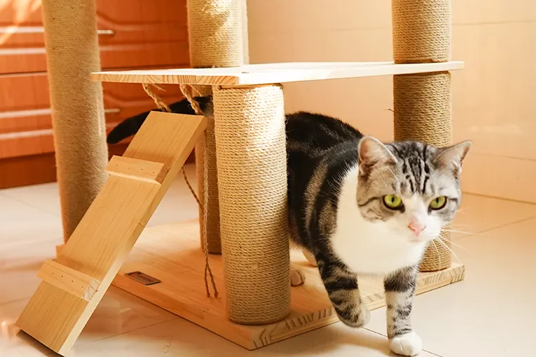 猫爬架什么品牌比较好